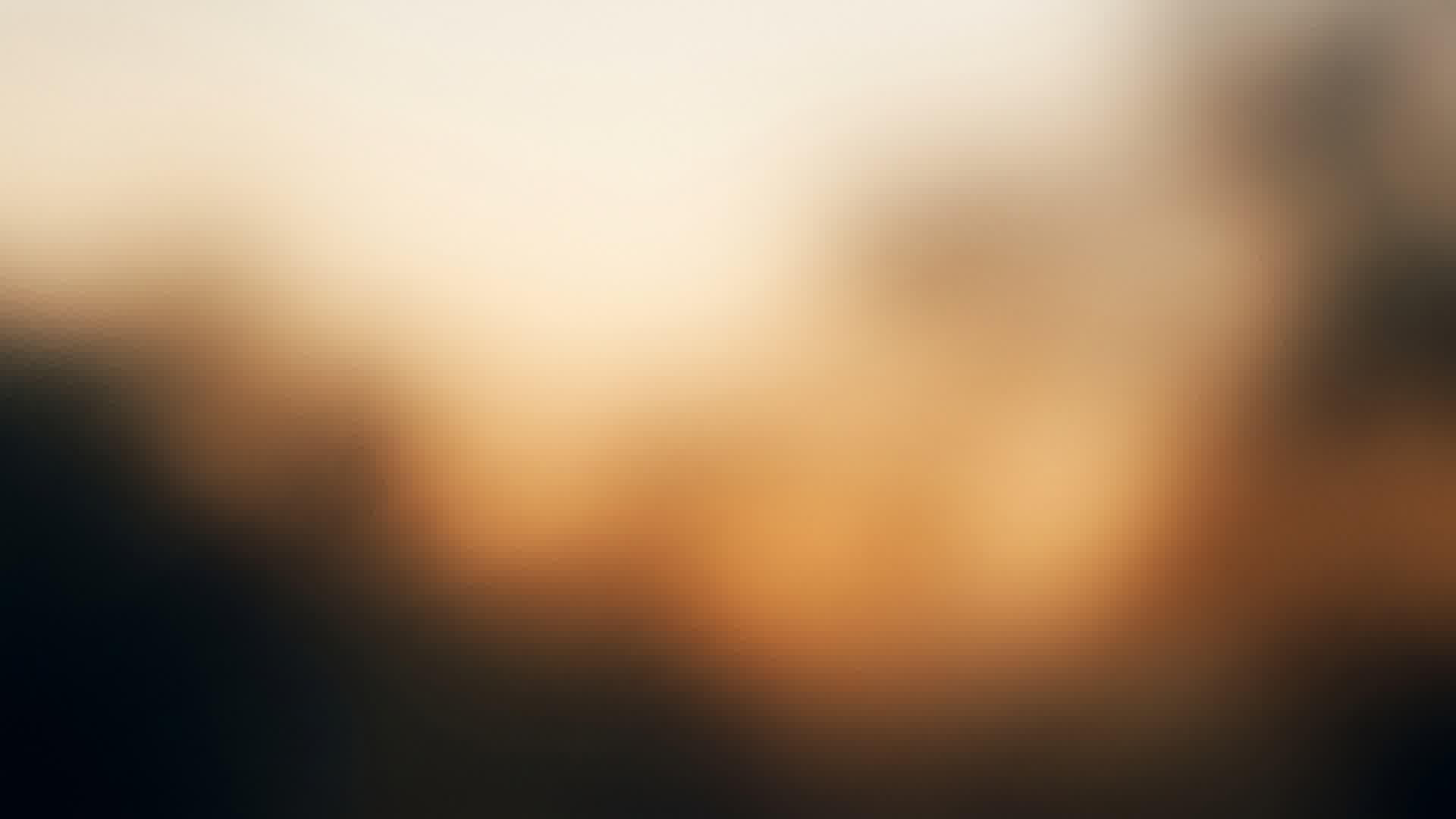 Soft amber light across a cream background